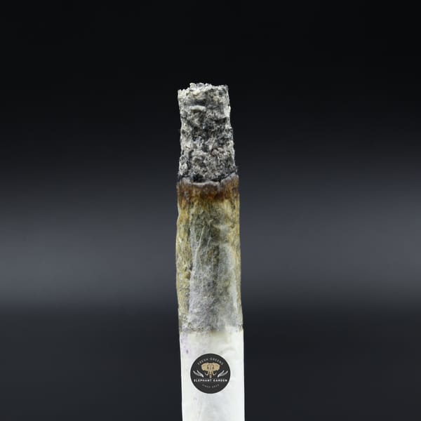 White Truffle Smalls Burn Test Elephant Garden March 2026