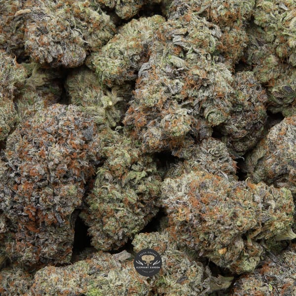 All Gas OG Bag elephant Garden april 2026