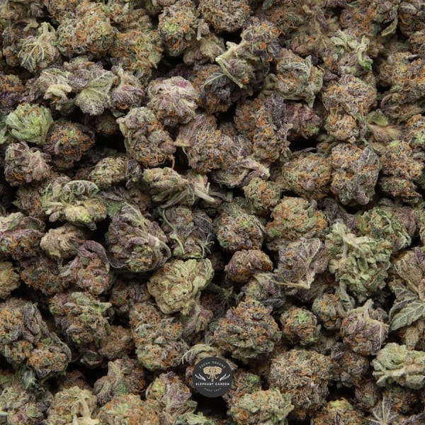 Cereal Milk Popcorn Elephant Garden April 2026