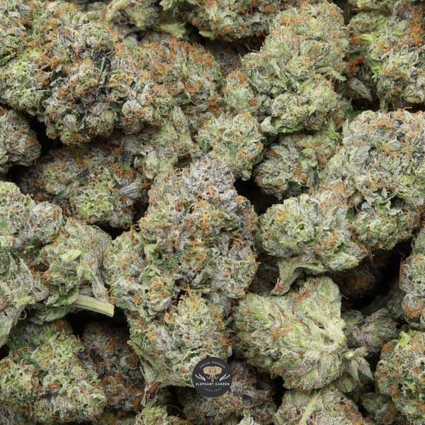 Coastal Pink bag Elephant Garden April 2026