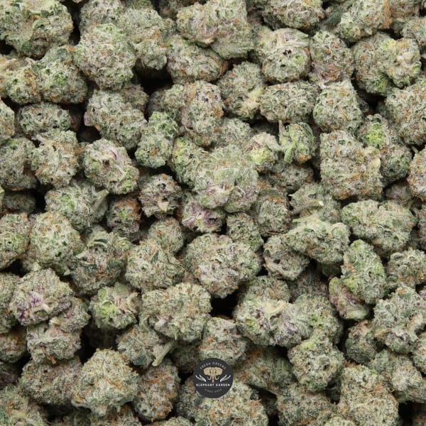 Galactic Gas Popcorn Elephant Garden April 2026