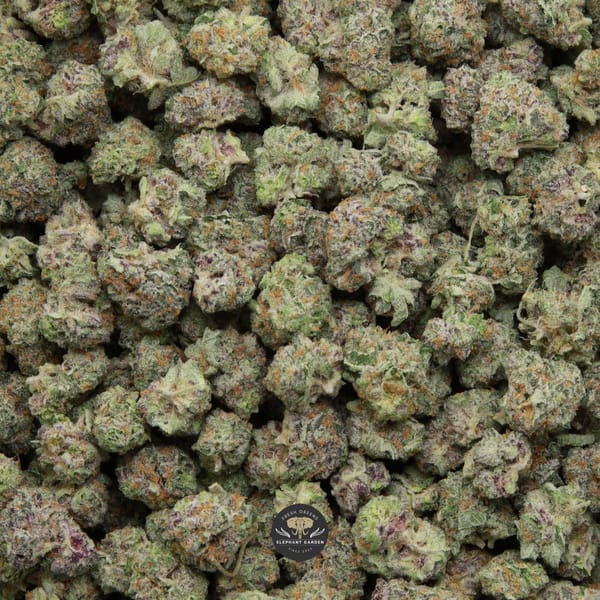 Gelato Cake Popcorn Elephant Garden April 2026