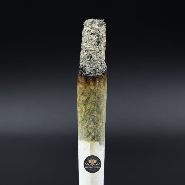 Motor Breath Popcorn burn picture elephant garden april 2026