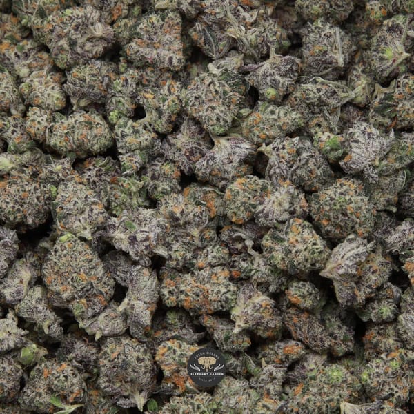 Peanut Butter Cookies Popcorn Elephant Garden April 2026