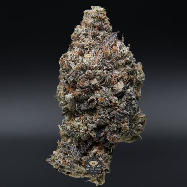 death walker april 2026 elephant garden