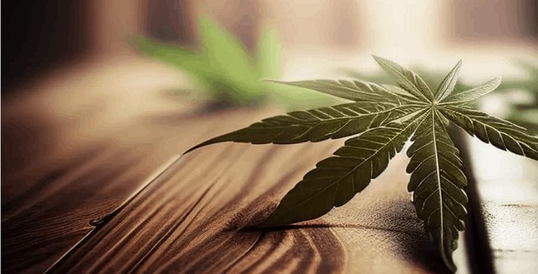 Take a look at the following benefits of purchasing from an online dispensary and start shopping!