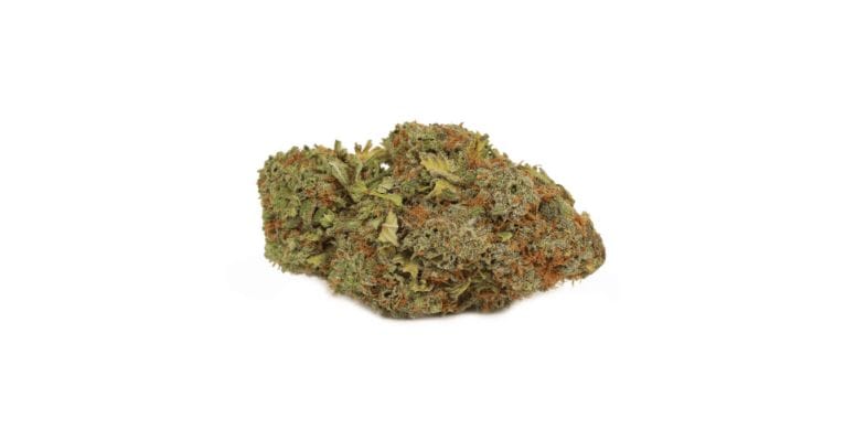 This is the dominant terpene in Blueberry Rockstar. It is also found in cloves, hops, black pepper, and rosemary plants.