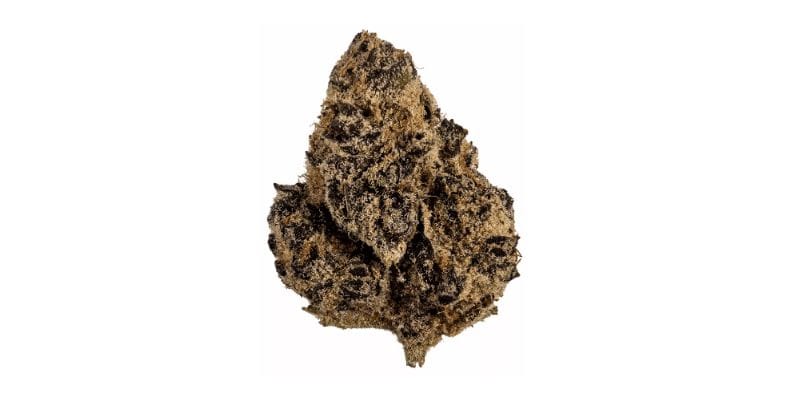 Unlike sedative Indica strains such as the Rock Tuna weed, the Tropicana will kickstart your day and chase fatigue away!