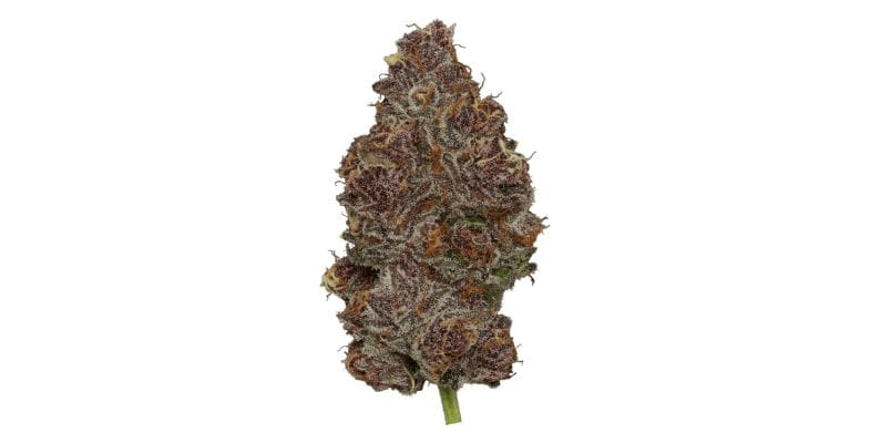 Last but not least, the Tropicana Cherry is a unique hybrid that pairs the original Tropicana strain with Cherry Blossom.