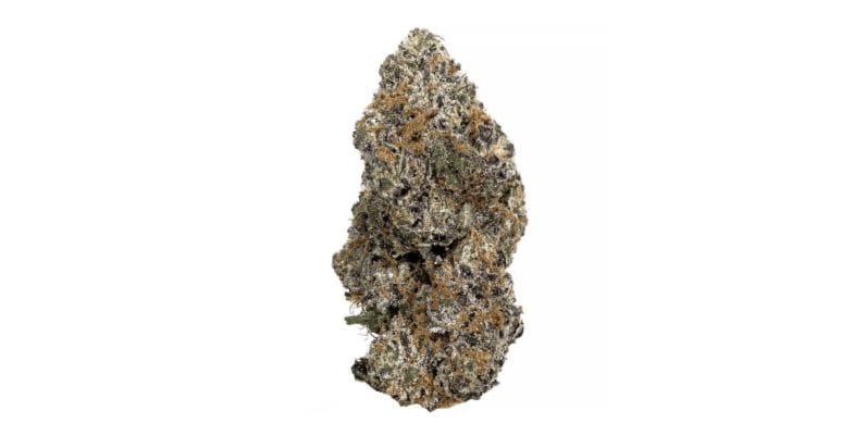 Fasten your proverbial seatbelts, gourmets and connoisseurs of the green world because we're about to embark on a tantalizing journey into the flavour profile of the Goudaberry strain.  