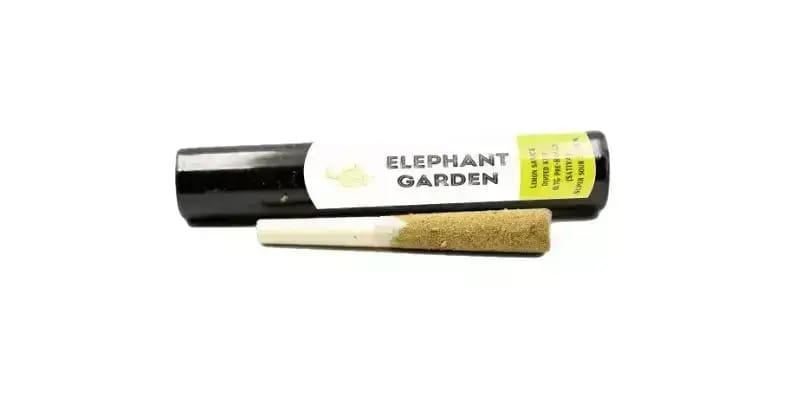 Our high-potency Moonrock Joint - Lemon - Sativa will hit you like a train, giving you euphoria and a heightened sense of creativity.  