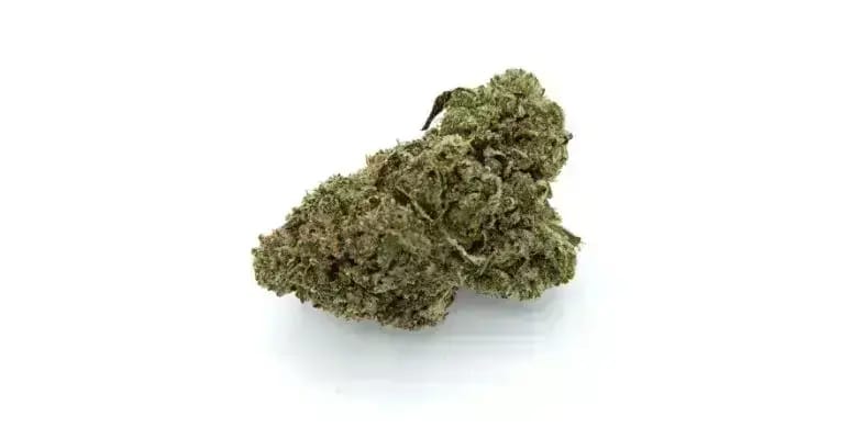 The Tuna Rockstar strain isn't just another name in the vast world of cannabis; it's a story of craftsmanship.  