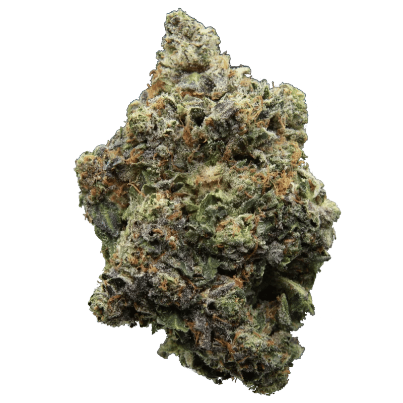 Coastal Pink AAAA — close up
