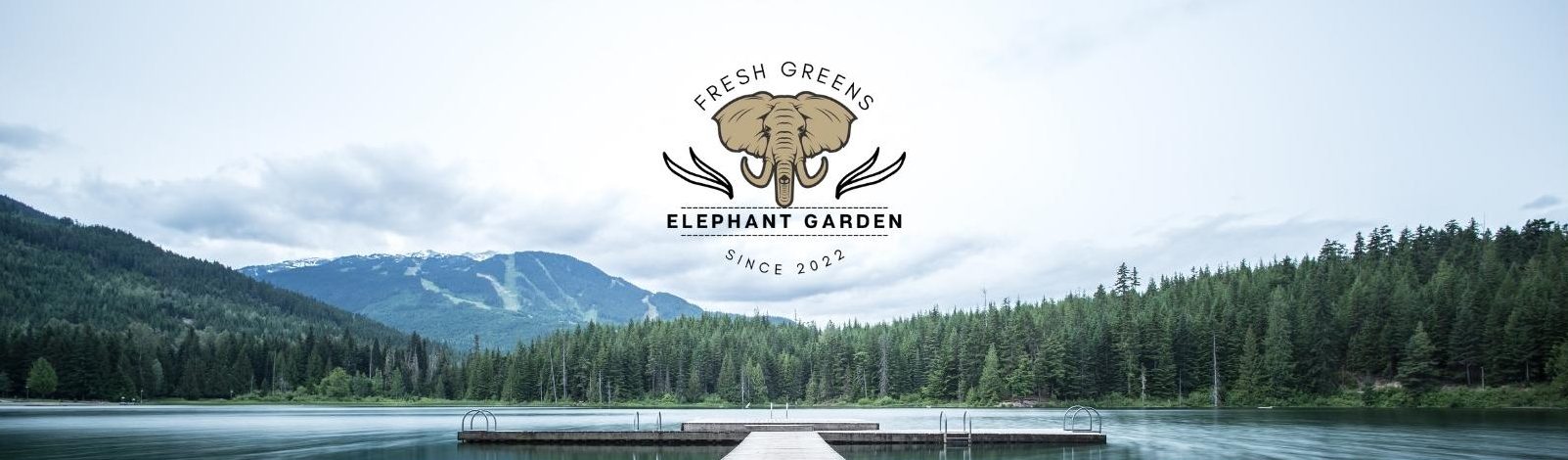 Our Story BG Elephant Garden