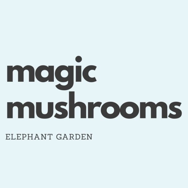Buy Magic Mushrooms at Elephant Garden Online Weed Dispensary & Online Pot Shop - Banner