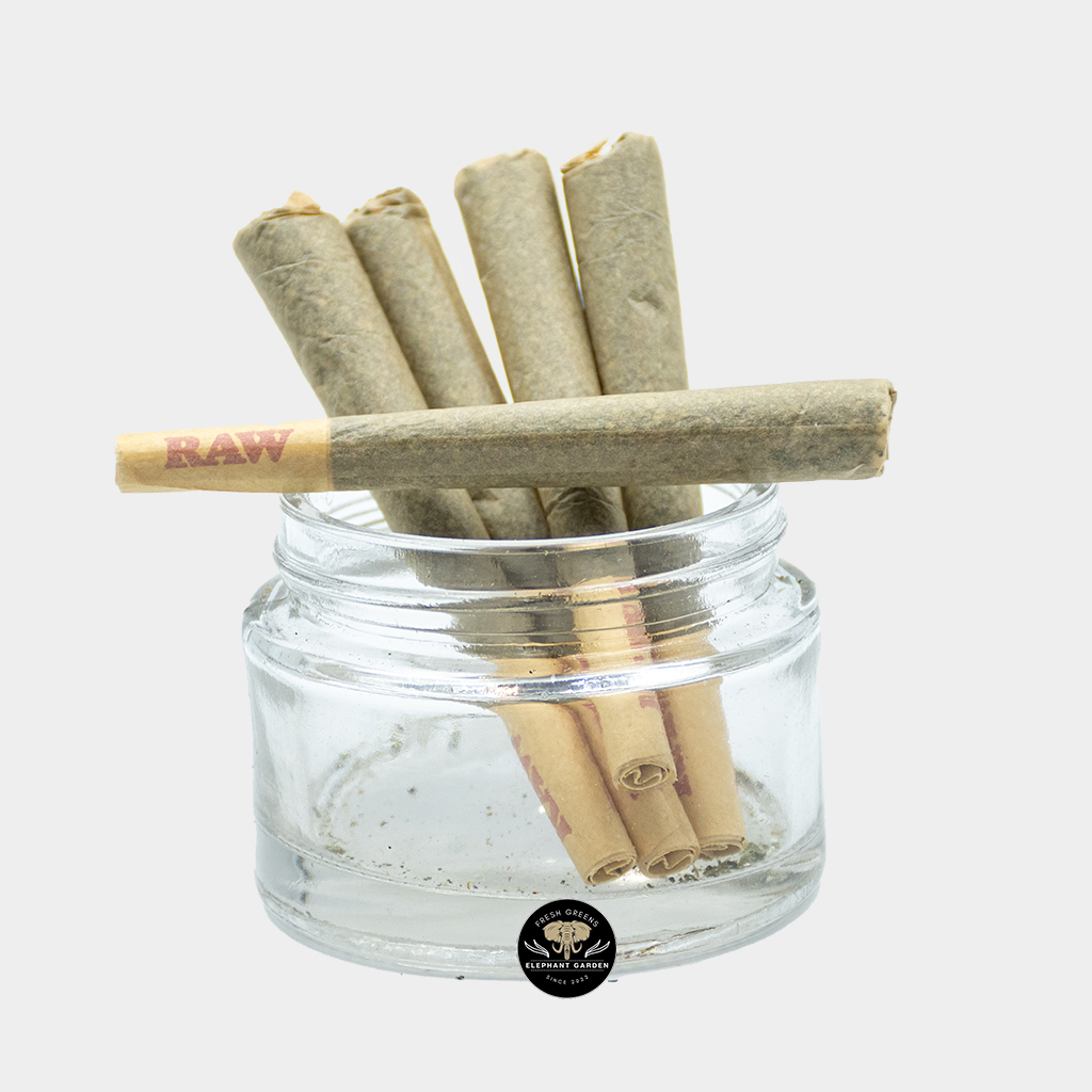 Buy Weed 5 Pre-rolls at Elephant Garden Online Weed Dispensary & Online Pot Shop