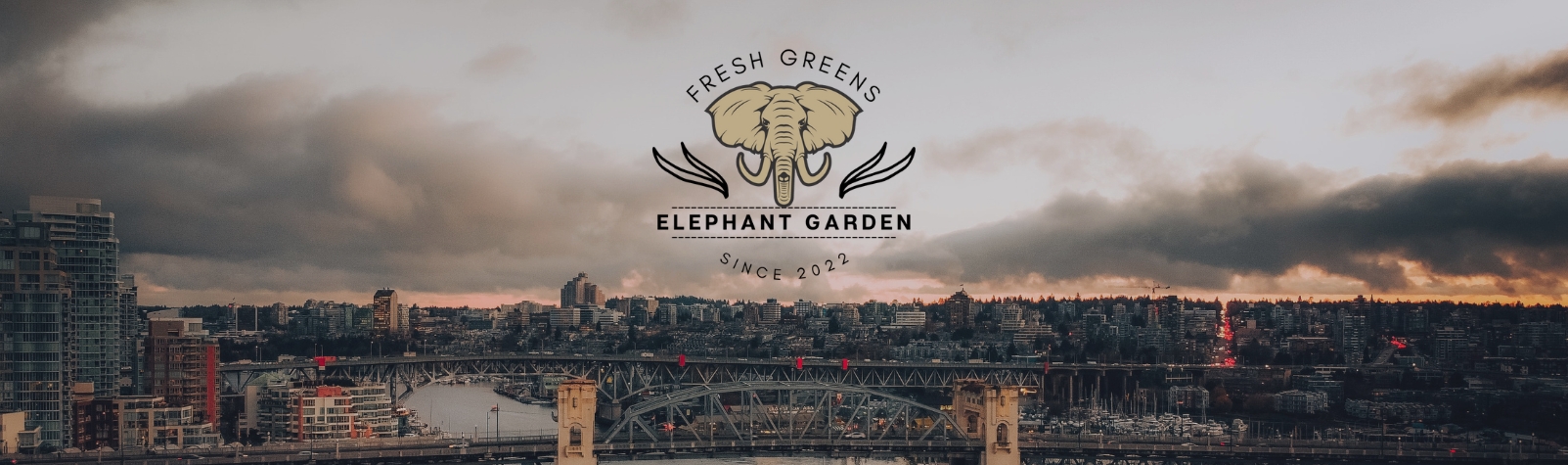 Frequently Asked Questions on Buying Weed at Elephant Garden Online Weed Dispensary & Online Pot Shop