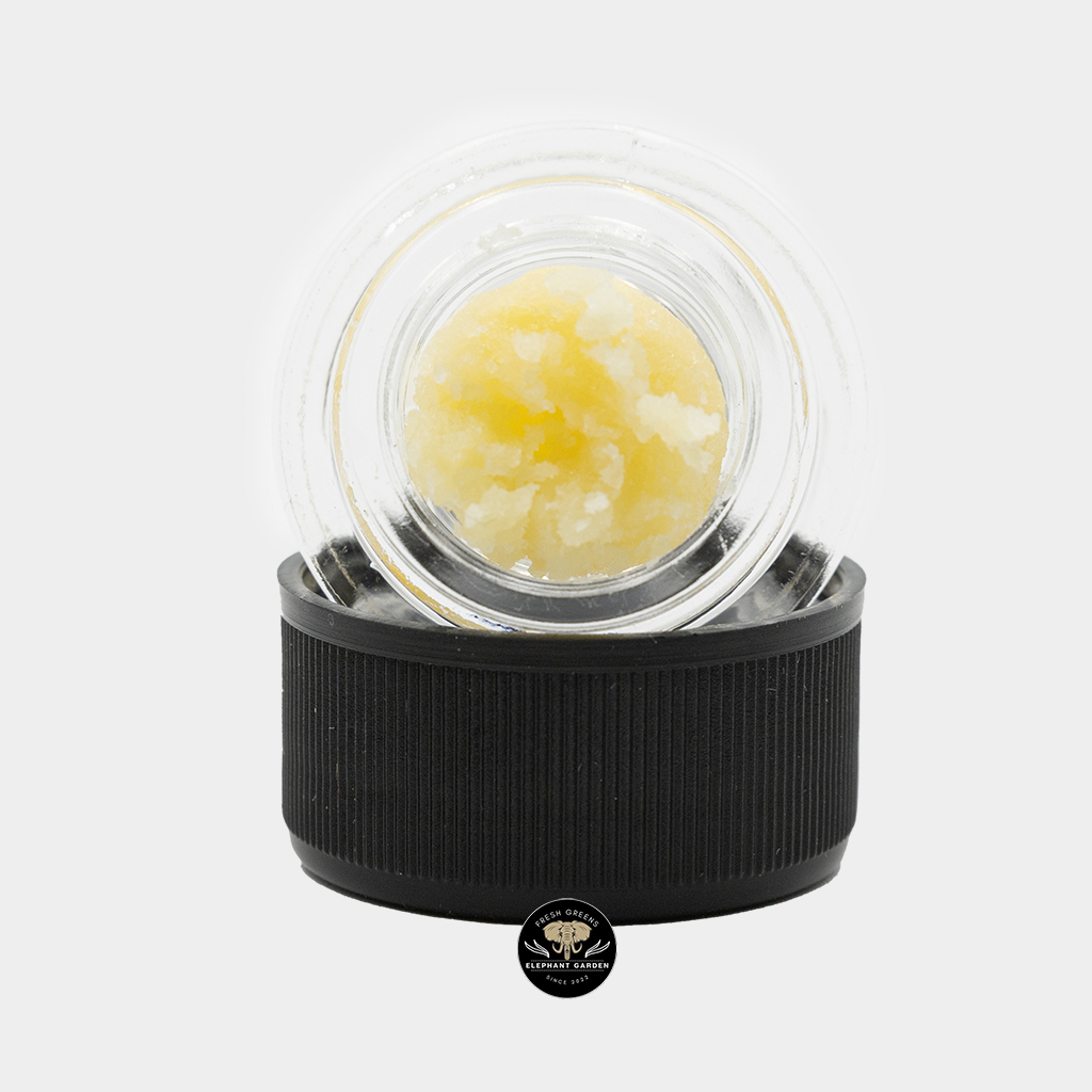 Understanding Cannabis Concentrates for Beginners