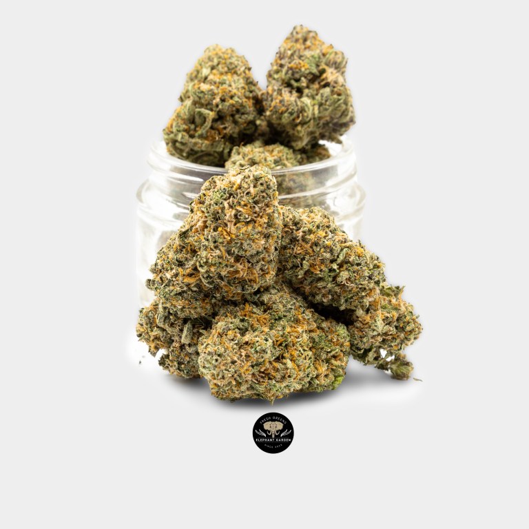 Buy Peanut Butter Cookies at Elephant Garden Co Weed Dispensary 9.27.2023