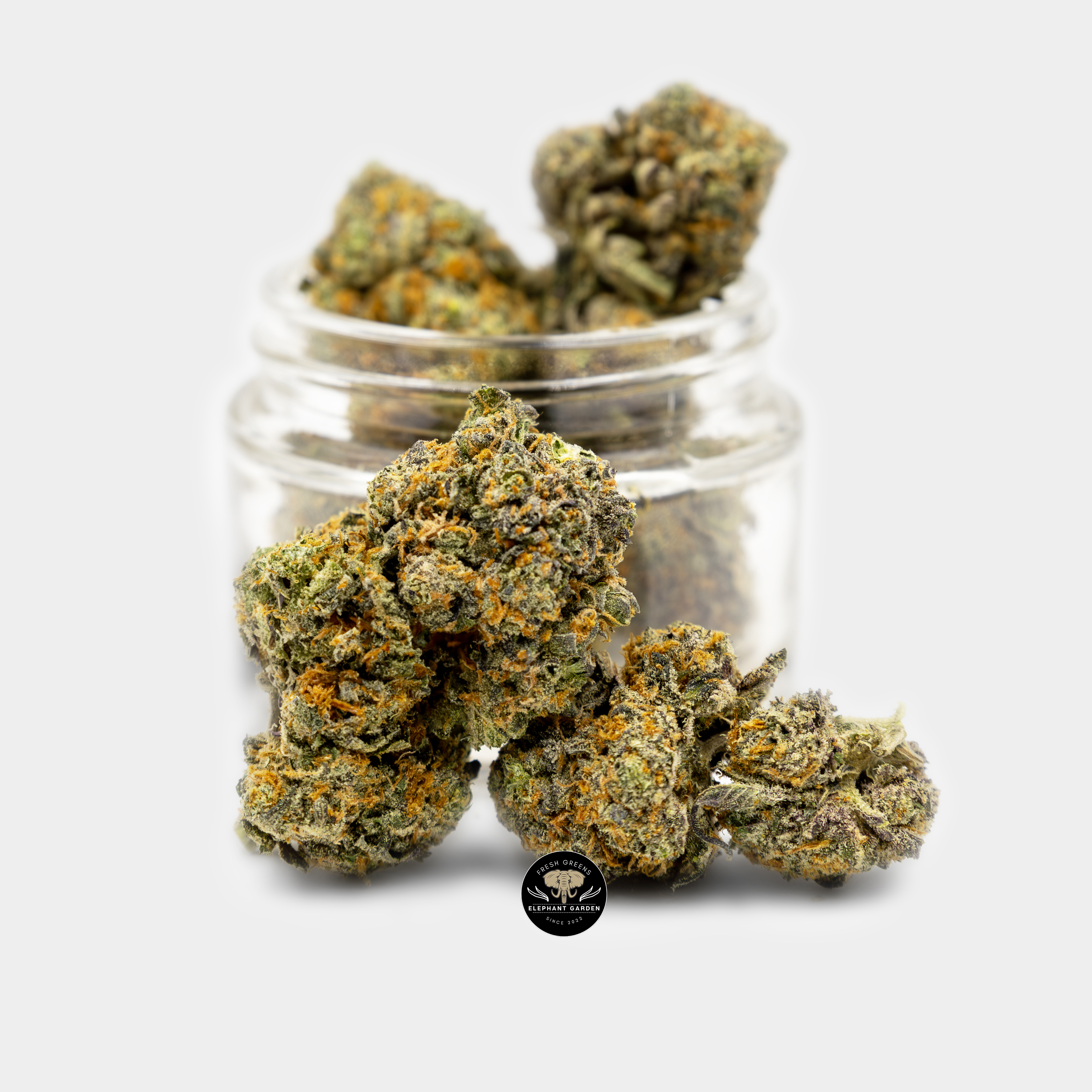 Buy Purple Candy at Elephant Garden Co Weed Dispensary Bundle 7.20.2023