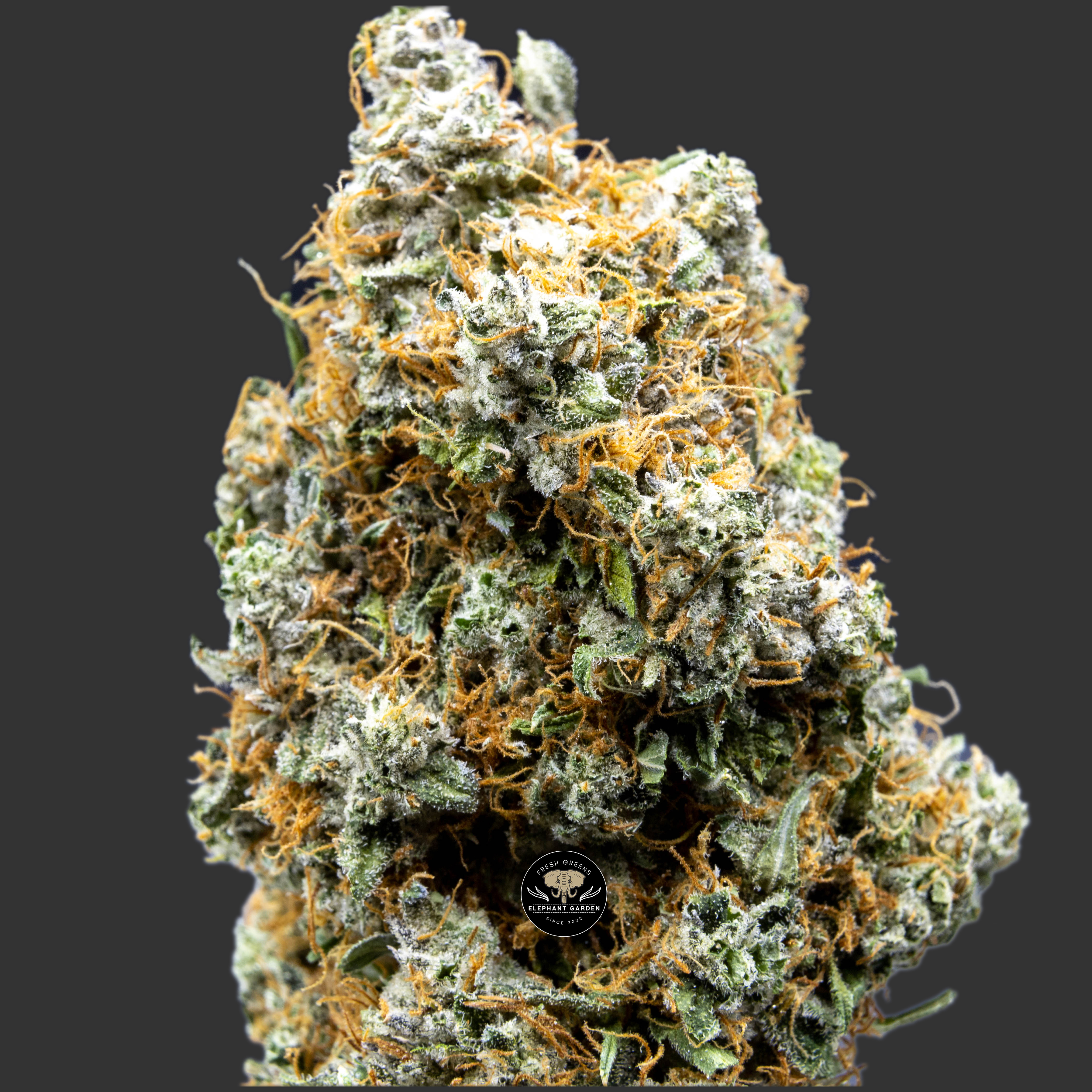 Buy Tahoe OG at Elephant Garden Co Weed Dispensary Online Canada Close