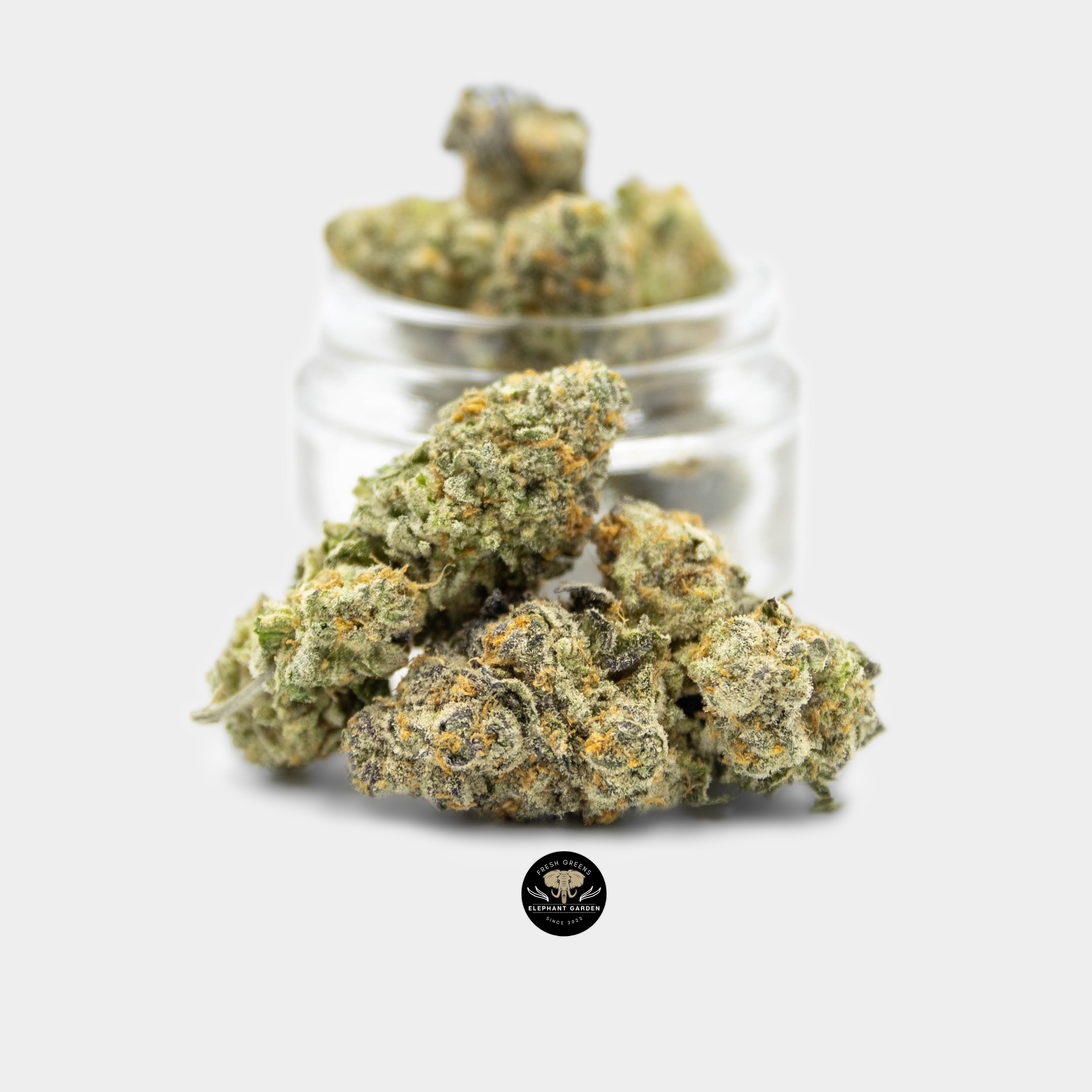 Buy Strawberry and Cream at Elephant Garden Co Weed Dispensary Online Canada Single