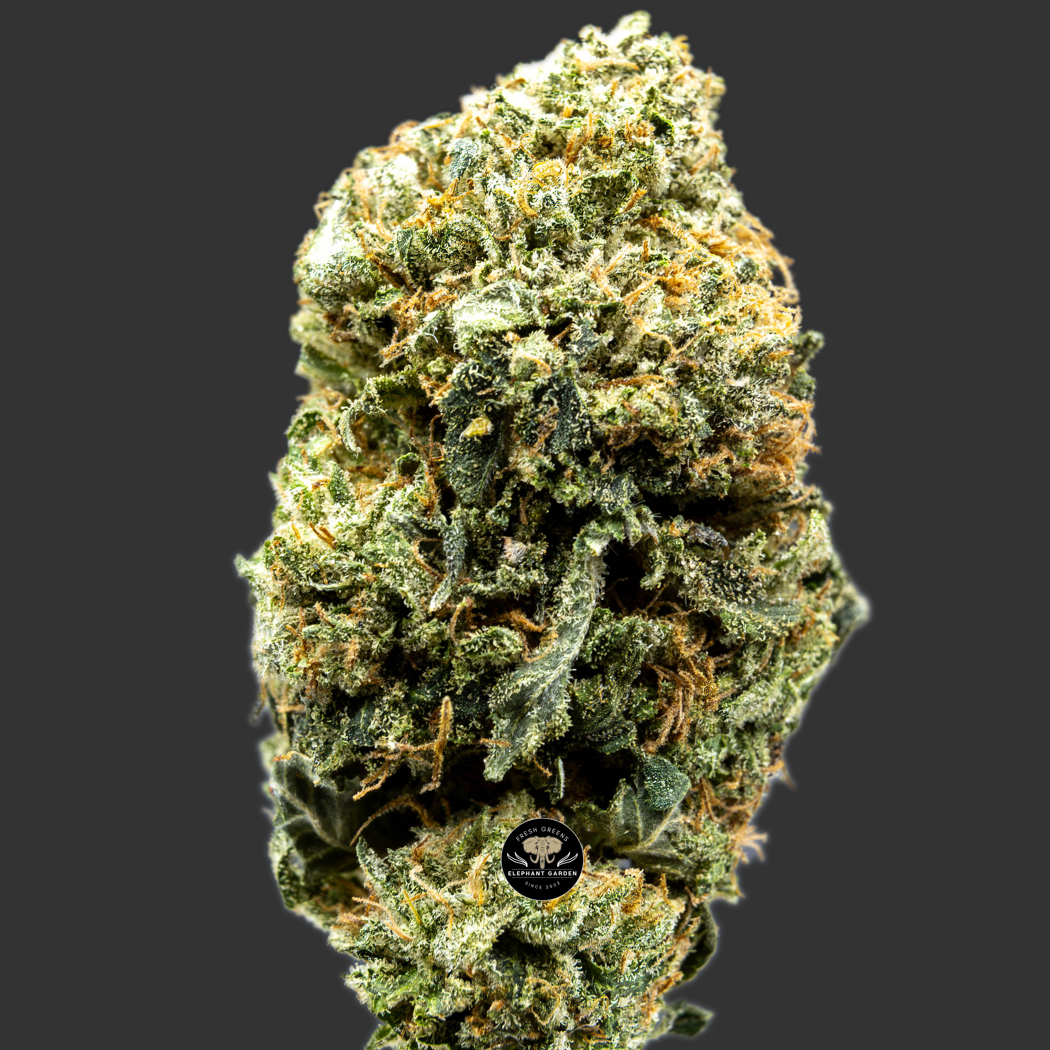 Buy Island Pink at Elephant Garden Co Weed Dispensary Close 10.3.2023