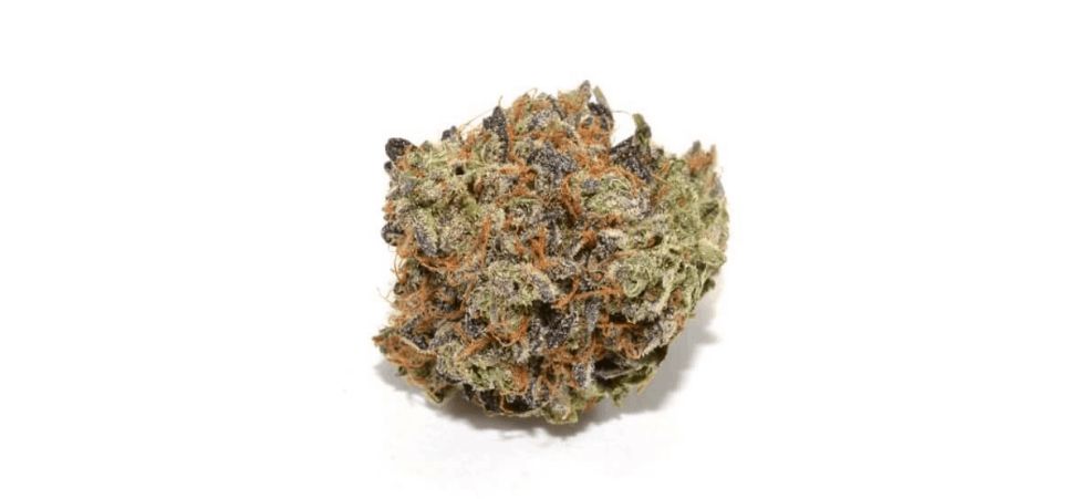 Why The Pink Death Star Strain is a Rare Pure Indica Bud Good For An Out Of This World High?