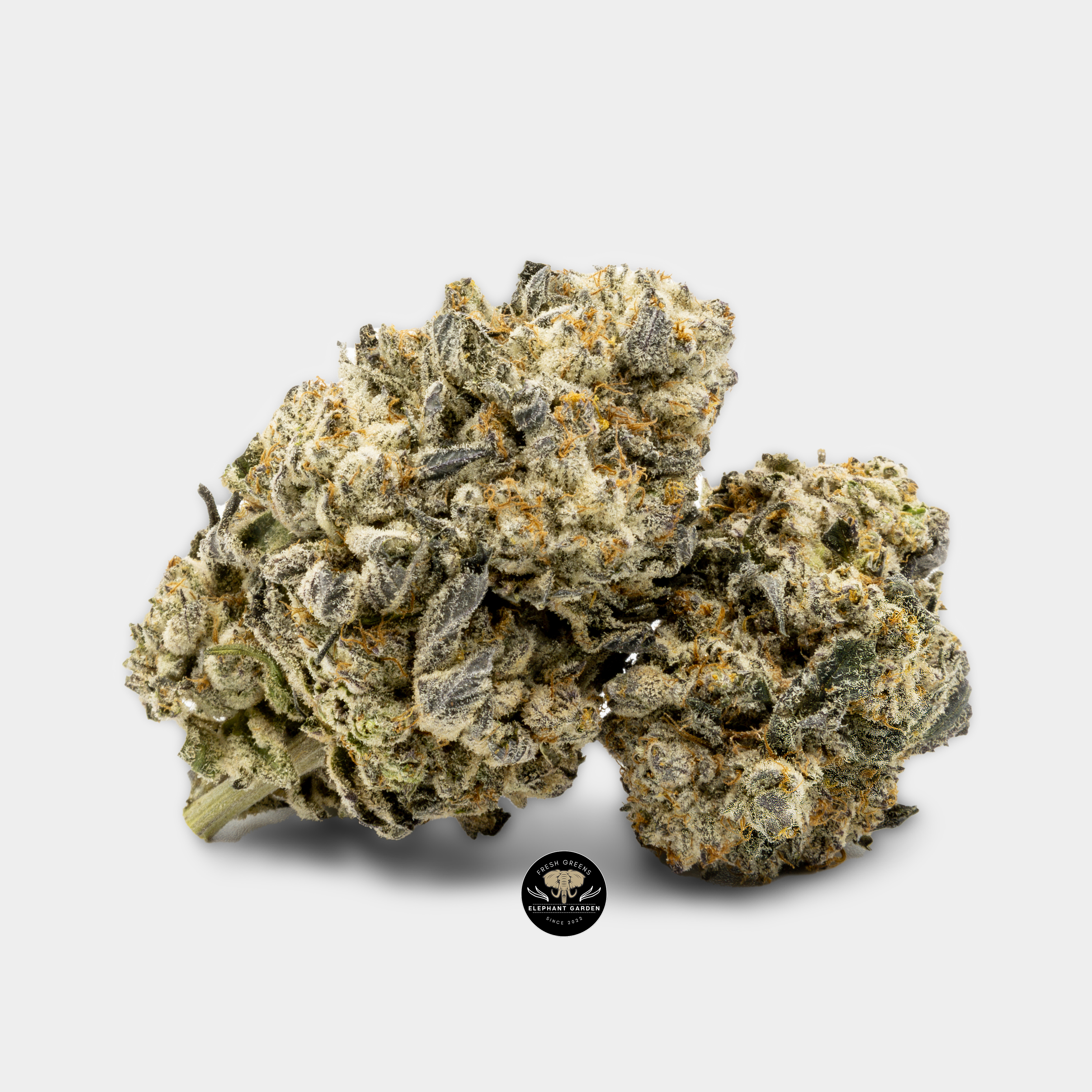 Buy Purple Frost at Elephant Garden Co Weed Dispensary Bundle