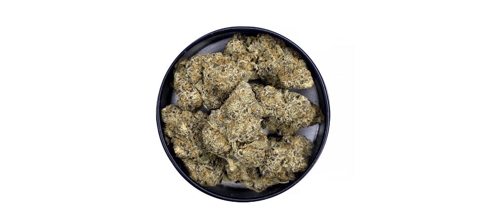 Goudaberry Strain: A Berry Good Choice for Cannabis Connoisseurs