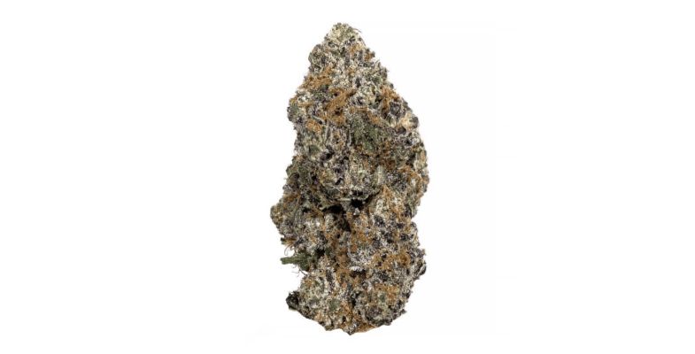 Goudaberry Strain: A Berry Good Choice for Cannabis Connoisseurs