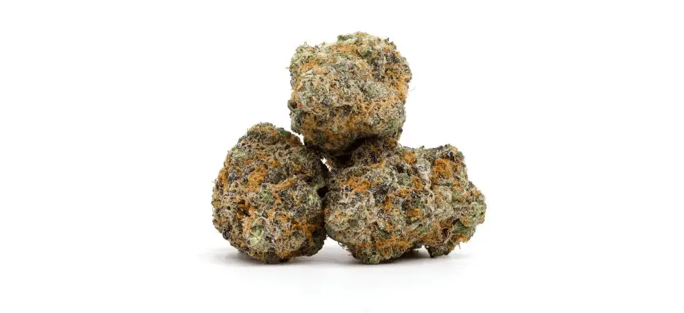 Lindsay OG Strain Review