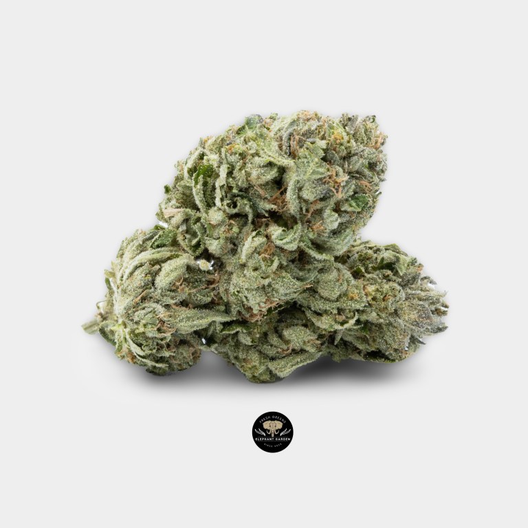 Buy Ghost Bubba at Elephant Garden Co Weed Dispensary 9.12.2023