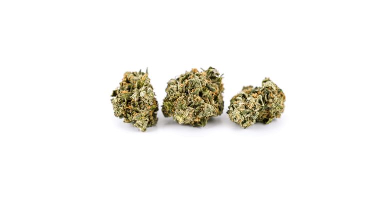 Why Our Tuna Rockstar is the Top Choice for Online Weed Shoppers?