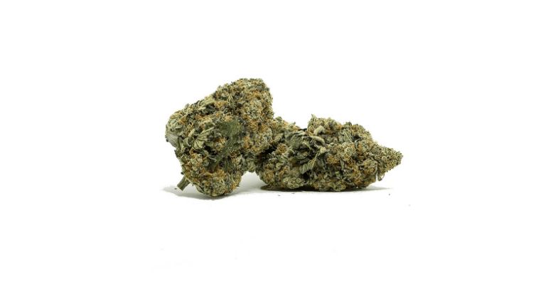 Why Our Tuna Rockstar is the Top Choice for Online Weed Shoppers?