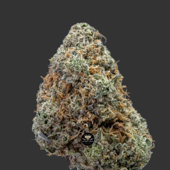 Buy Dragon Berry at Elephant Garden Co Weed Dispensary Close 10_18_2023