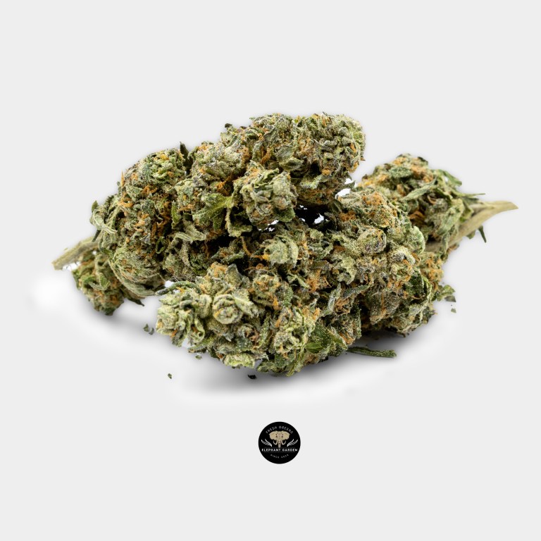 Buy Space Monkey at Elephant Garden Co Weed Dispensary 10.3.2023