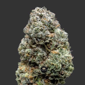 Buy Galactic Cake at Elephant Garden Co Weed Dispensary Close 11_30_2023 3
