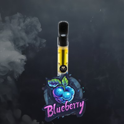 Blueberry Vape 3 21 2024 2