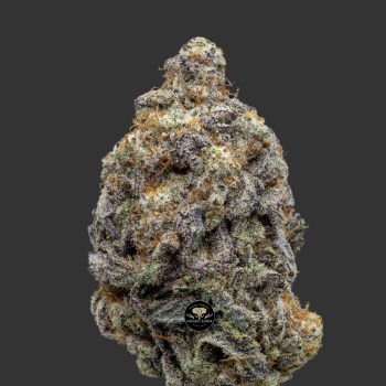 Buy Blueberry Mac at Elephant Garden Co Weed Dispensary Close 12_18_2023