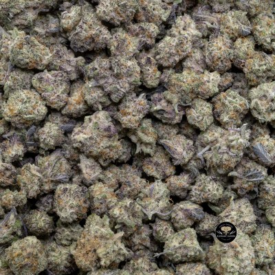 Buy Grape Mac Popcorn (Bulk) at Elephant Garden Co Weed Dispensary 2 20 2024