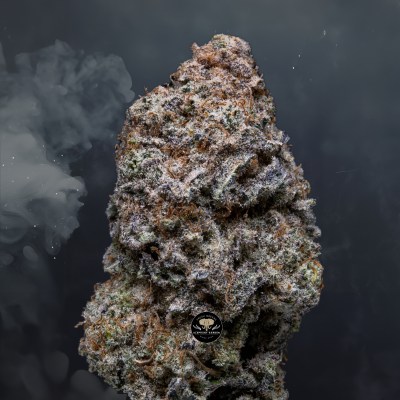 Buy Blueberry Muffin at Elephant Garden Co Weed Dispensary Close 3 8 2024 3