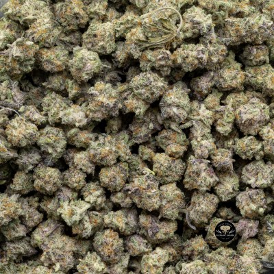 Buy Mac and Cheese (Bulk) at Elephant Garden Co Weed Dispensary 3 18 2024