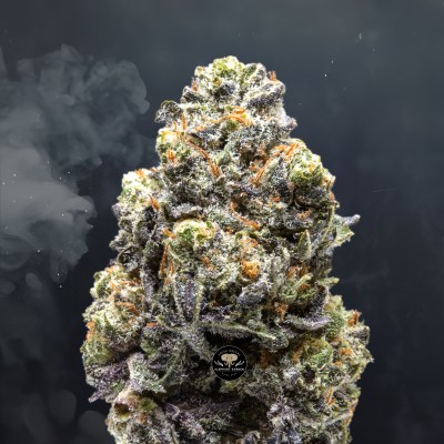 Buy Blueberry Cheese Cake at Elephant Garden Co Weed Dispensary Close 4 24 2024