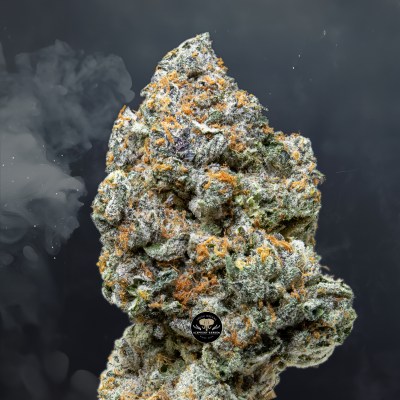 Buy Frosted Gelato at Elephant Garden Co Weed Dispensary Close 4 18 2024