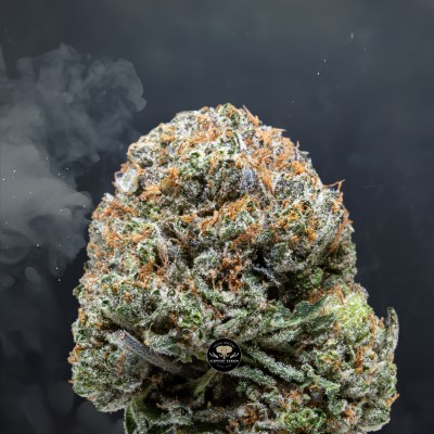 Buy Platinum Pink at Elephant Garden Co Weed Dispensary Close 4 24 2024