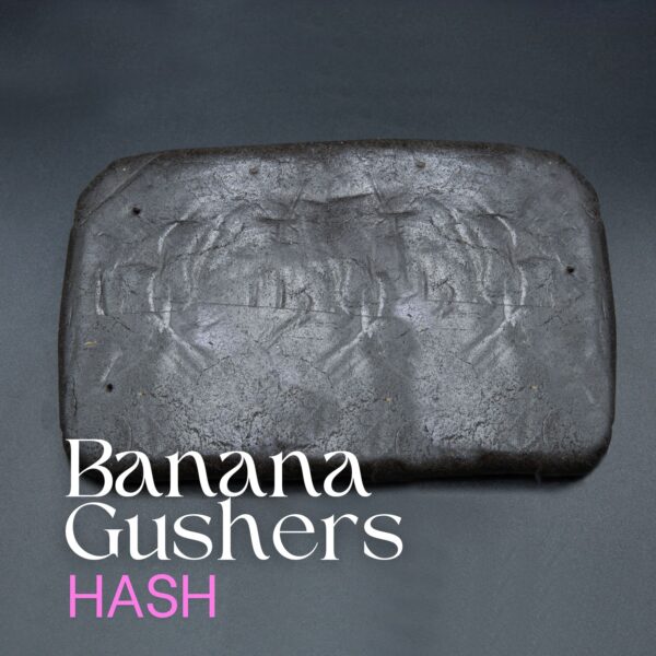 Banana Gushers Hash elephant garden