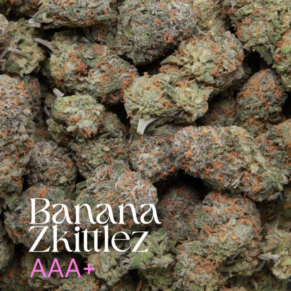 Banana Zkittlez from Elephant Garden multiple buds