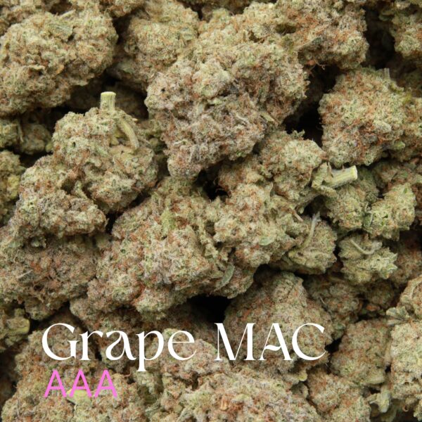 Multiple budsof Grape MAC from Elephant Garden