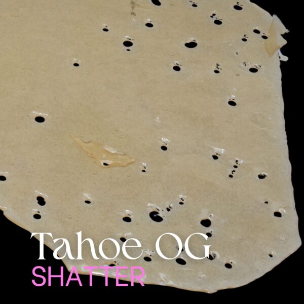Tahoe OG shatter from elephant garden